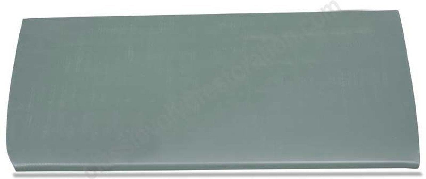 Türblech Amazon 2d rechts