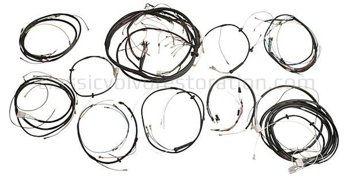 Kabelsatz Amazon B20