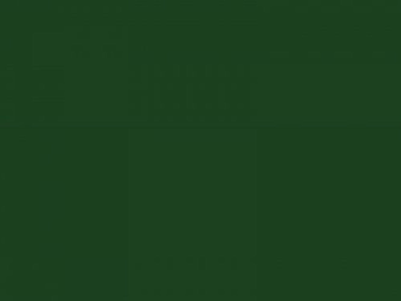 Farbe 142 Dunkelgrün, Sprühdose