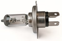 Glühbirne H4 60/55W