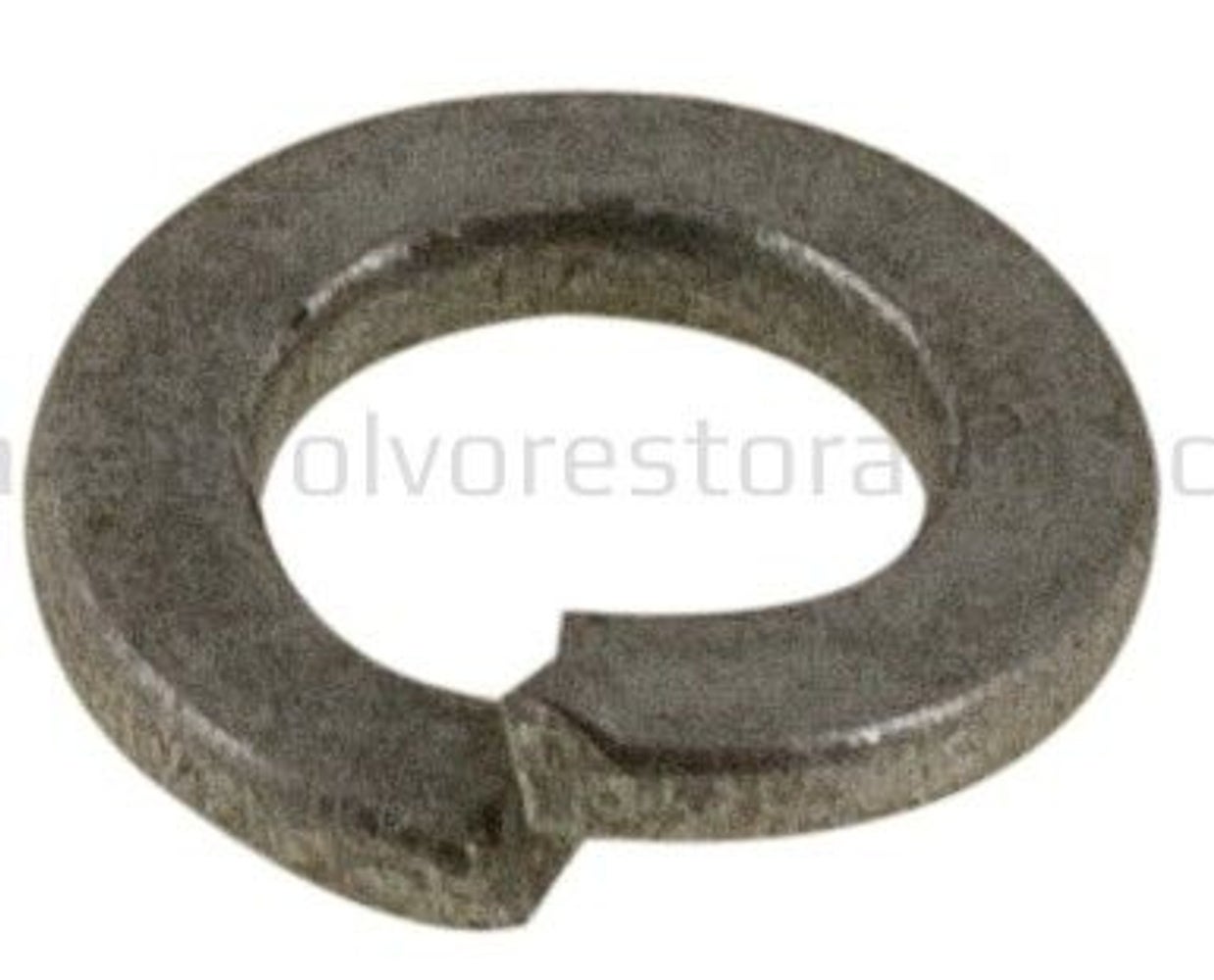 Federscheibe 1/4" 6,5 x 11,5 x 1,6 mm für Volvo Amazon, Amazon Kombi