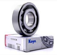 Kugellager Abtriebswelle