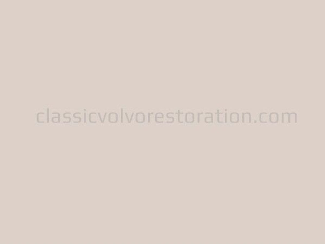 Farbe 48 Golden Beige, Sprühdose